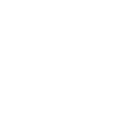 fiori bistro baden logo