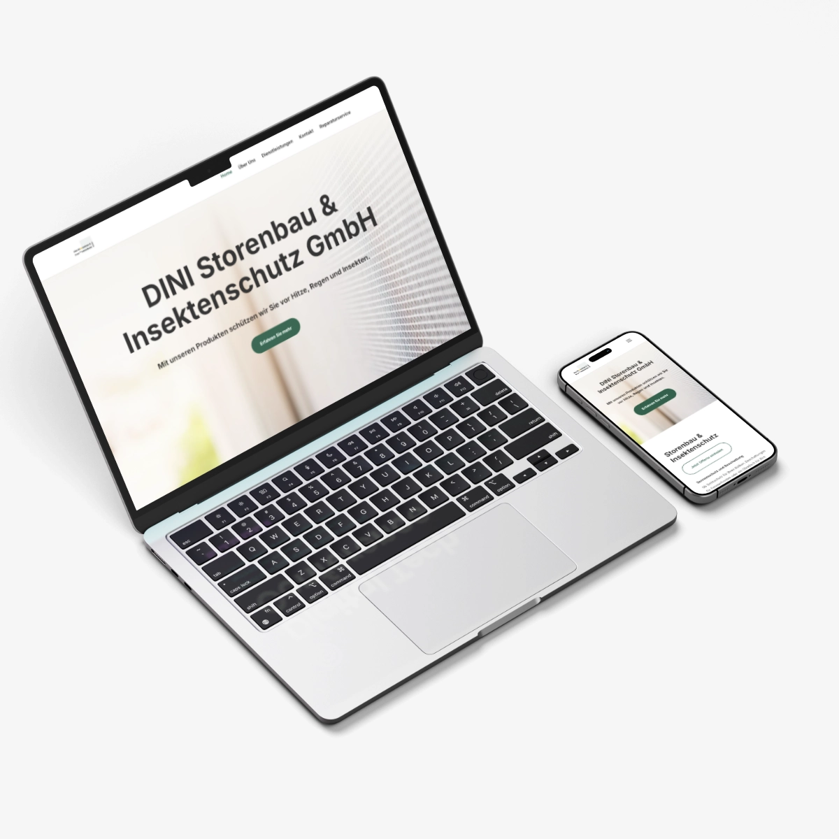 dini storenbau insektenschutz webseite